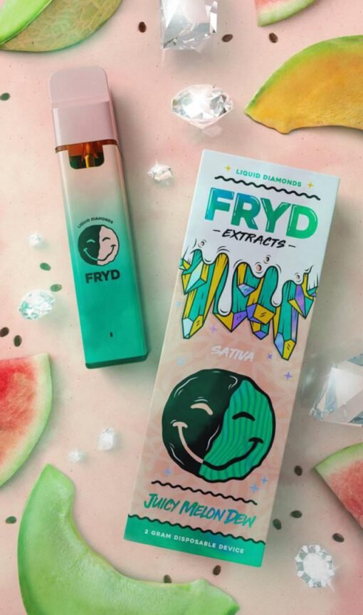 FRYD DISPOSABLE JUICY MELON DEW